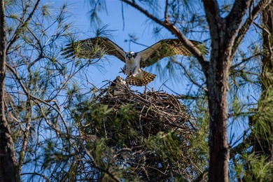 WELCOME TO YOUR NEW WATERFRONT OASIS! This lovely single-level