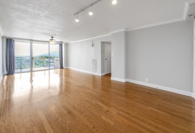 Looking for a condo with amazings views of the city under $300
