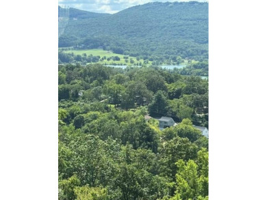 Looking for a condo with amazings views of the city under $300