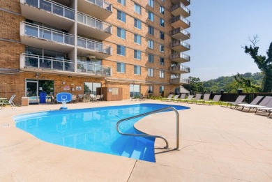 Looking for a condo with amazings views of the city under $300