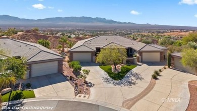 Welcome to 697 Cinco Ct, a beautifully updated home perfectly