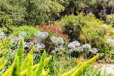 Newly listed Modern Serenity in the De Luz Hills

Welcome to