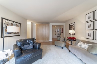 Updated and spacious Gold Coast studio with Dearborn Street