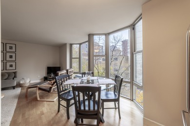 Updated and spacious Gold Coast studio with Dearborn Street