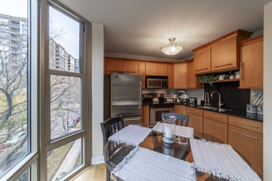 Updated and spacious Gold Coast studio with Dearborn Street