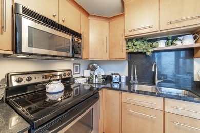 Updated and spacious Gold Coast studio with Dearborn Street