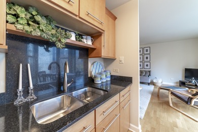 Updated and spacious Gold Coast studio with Dearborn Street