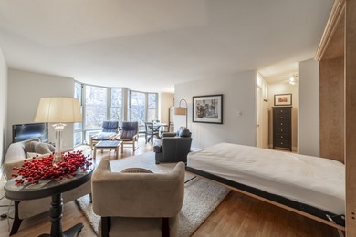 Updated and spacious Gold Coast studio with Dearborn Street