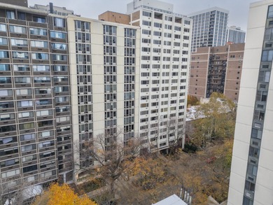 Updated and spacious Gold Coast studio with Dearborn Street