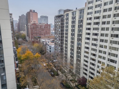 Updated and spacious Gold Coast studio with Dearborn Street