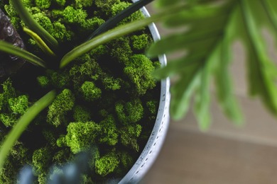 Reintroducing 124 Paradise by the Sea Blvd - a masterpiece of