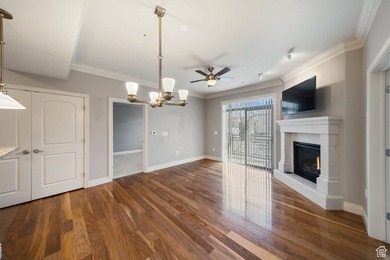 Gorgeous High-rise luxury custom-built condo with elevator