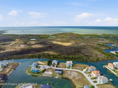 Step inside and experience a waterfront home in Hernando Beach