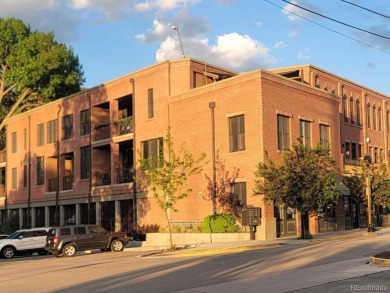 Turnkey Furnished Condo on the river - River Lofts of Salida is