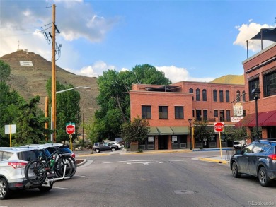 Turnkey Furnished Condo on the river - River Lofts of Salida is