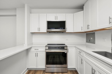 Newly updated 2 bed 2 bath unit in a well-managed Lakeview