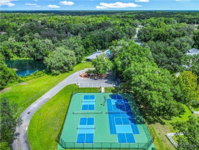 Welcome to your private retreat in peaceful Hernando! Nestled on