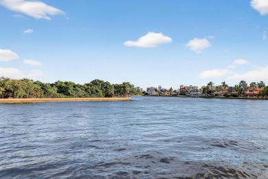 Located on one of the finest direct intracoastal Isles