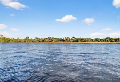 Located on one of the finest direct intracoastal Isles