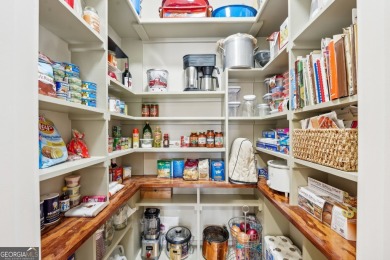 Welcome to 1259 Birch River Drive, a unique masterpiece nestled