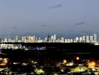 Great opportunityPLETELY RENOVATED!  Biggest 2B/2B PENTHOUSE