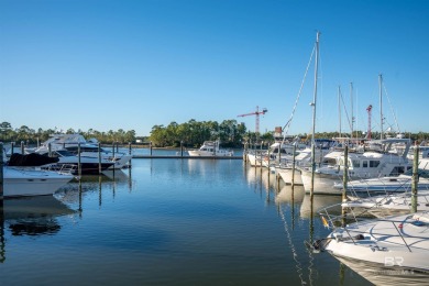 Luxury Waterfront Living at The Wharf Experience coastal