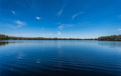 Welcome to a truly one-of-a-kind, ultra-luxurious estate that