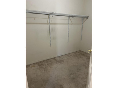 Welcome to Paradise Springs, a 55 and better gated community