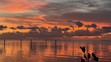 Premier 1 bedroom unit a stunning open water and pool view off