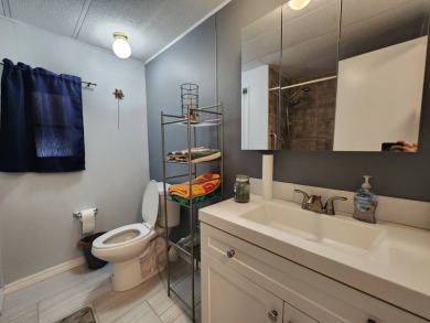 This 2 bed 2 bath home is located in Sun Valley a 5 star 55+