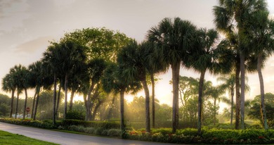 Welcome to 6815 Willow Wood Drive #4083, where refined living