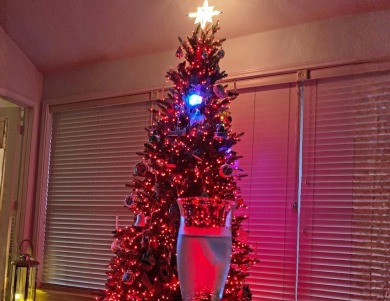 Welcome to your happy holiday home in beautiful Blue Lake! Can