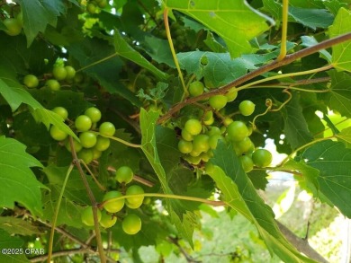 6904 Yellow Bluff Road presents a rare opportunity to own a