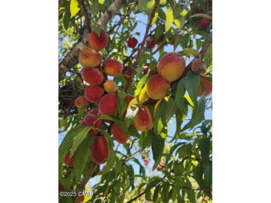 6904 Yellow Bluff Road presents a rare opportunity to own a