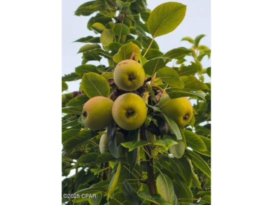 6904 Yellow Bluff Road presents a rare opportunity to own a