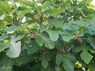 6904 Yellow Bluff Road presents a rare opportunity to own a