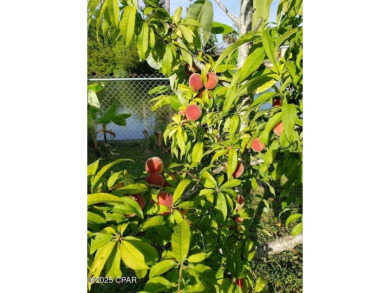 6904 Yellow Bluff Road presents a rare opportunity to own a