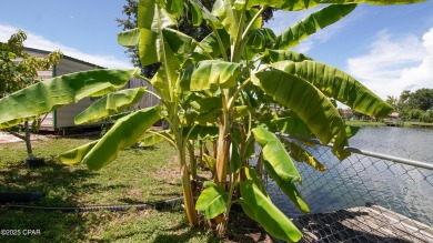 6904 Yellow Bluff Road presents a rare opportunity to own a