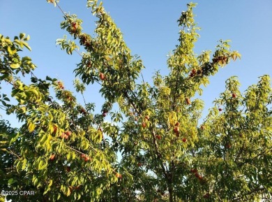 6904 Yellow Bluff Road presents a rare opportunity to own a