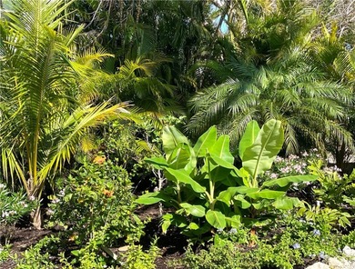 Stunning Waterfront Elevated 3-Story Home with Breathtaking