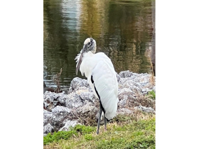 Our NEW CONSTRUCTION Marina Bay Villas feature ELEVATED