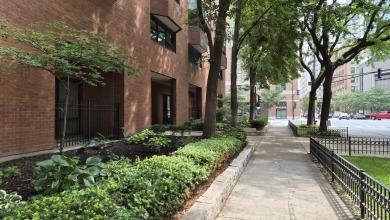 Charming 1-Bedroom Condo in the Heart of Dearborn Park - South