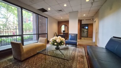 Charming 1-Bedroom Condo in the Heart of Dearborn Park - South