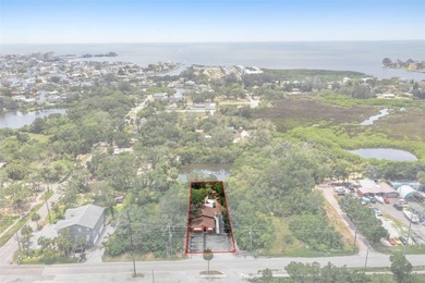 Great Opportunity To Own A Building With C1 Zoning!! This