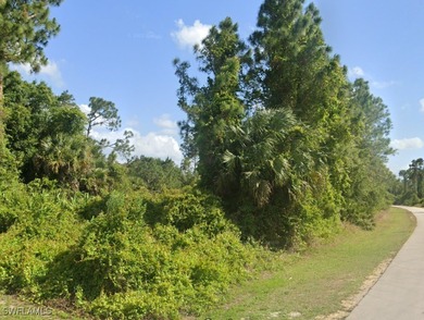 **Beautiful Vacant Residential Land in Lehigh Acres** Discover