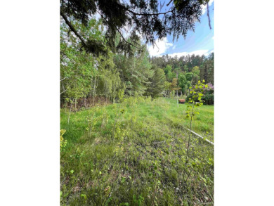 Two 60 x 120 residential lots (stacked) resulting in quiet