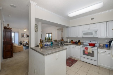 Luxury Waterfront Condo with a Private Boat Lift. 22x8 feet