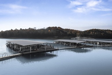 Charming 3-Bedroom Home Near Bull Shoals Lake!This beautifully