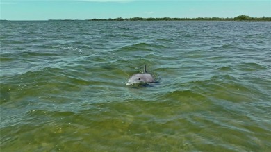 Some places bring you peace the moment you arrive... this one