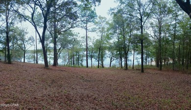 Make Your Lakefront Dream a Reality! This lakefront home has